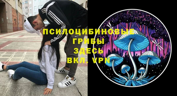 ALPHA PVP Каменка