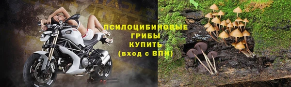 винт Каменногорск